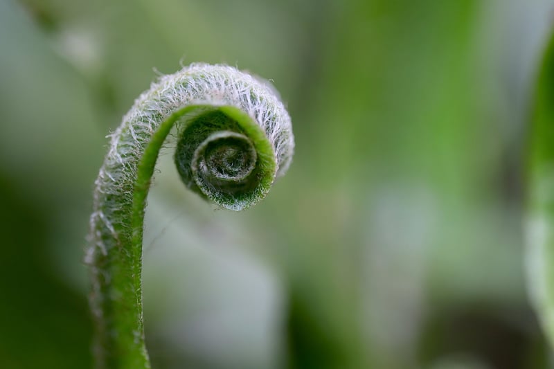 Personal Growth Tips